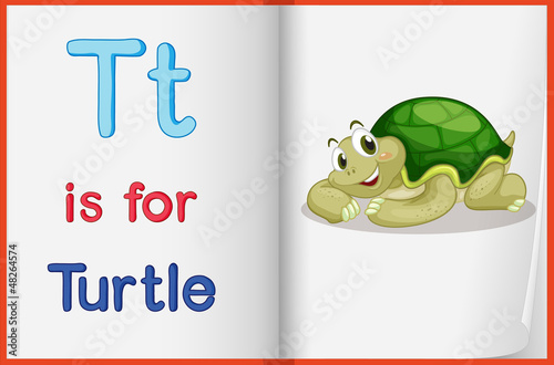 A picture of a turtle in a book