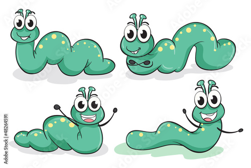Four caterpillars