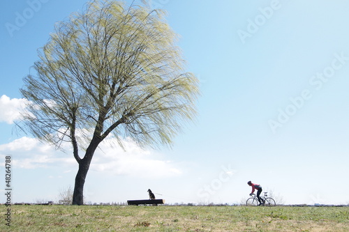 木と犬とサイクリングをする人