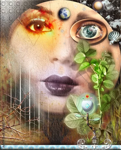 Obraz Pełnia księżyca