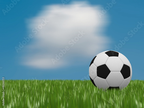 soccer ball on green grass © lpstudio