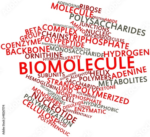 Fotografie Word cloud for Biomolecule