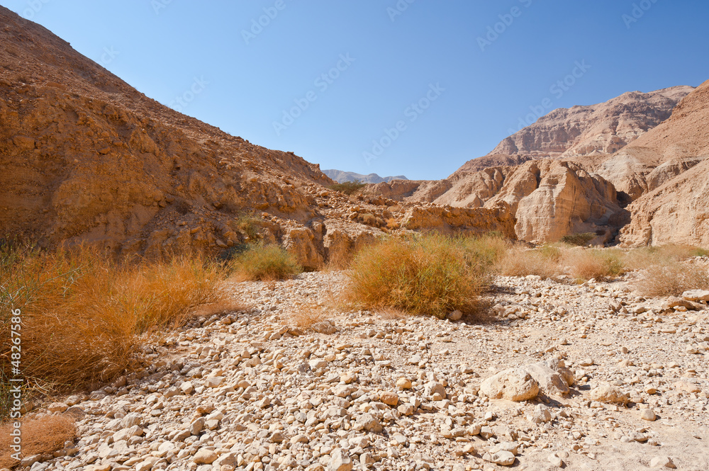 Dry Riverbed