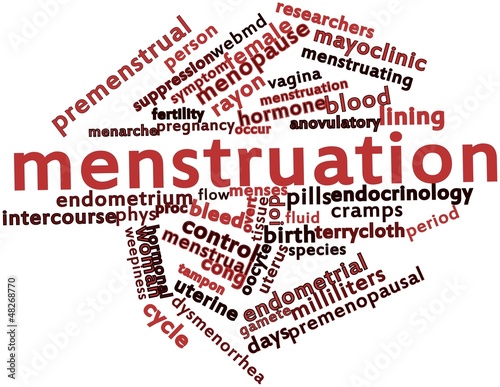 Word cloud for Menstruation photo