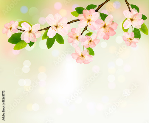 Spring background with blossoming tree brunch with spring flower