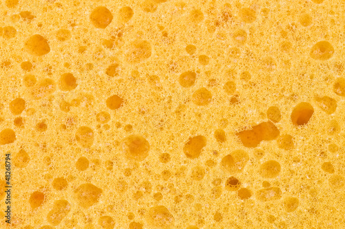 sponge texture