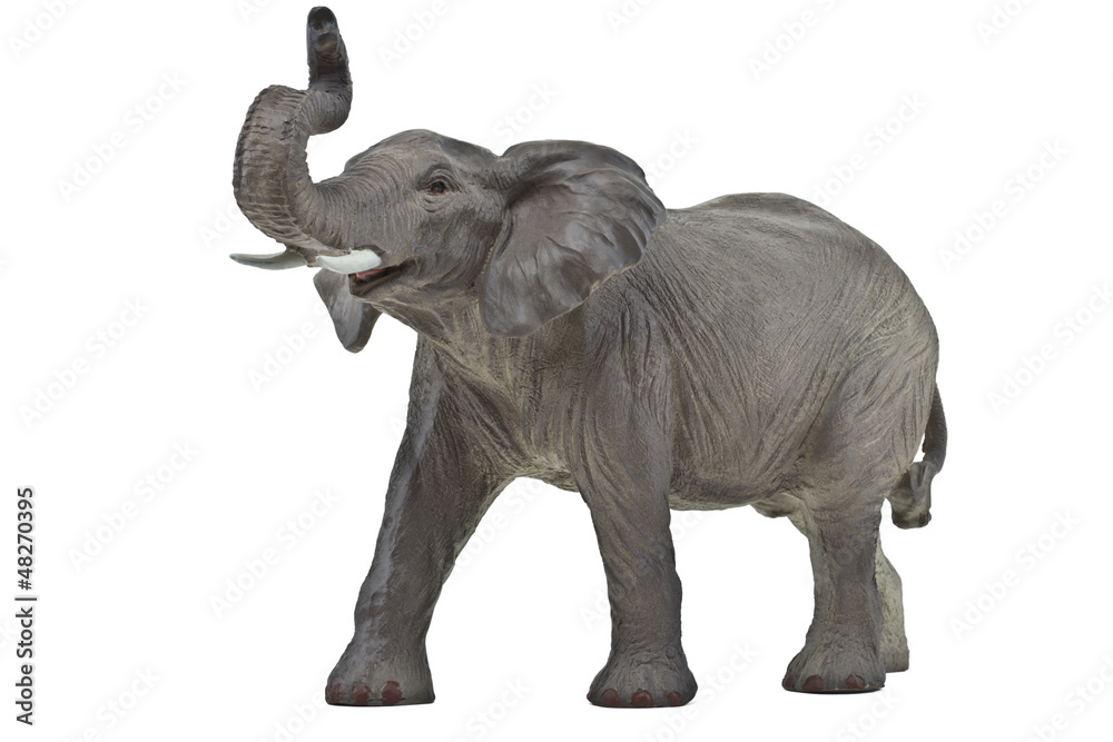 Obraz premium Elefant