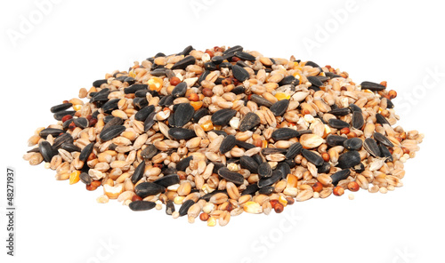 Pile of bird seed including sunflower seeds, wheat and maize