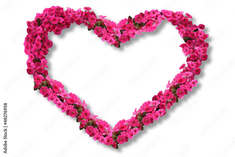 Heart of Pink Petunia Flowers