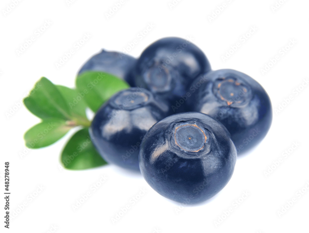 Blueberries with leaves Blueberries with leaves