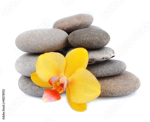 zen stones with orchid flower