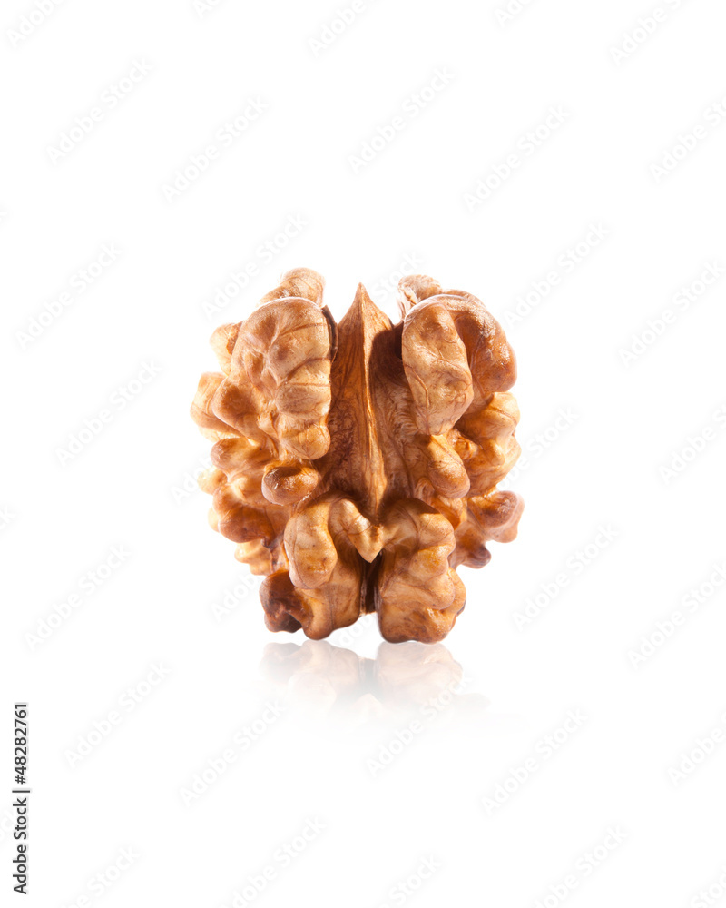 walnut isolated on the white