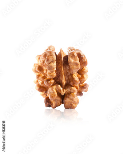 walnut isolated on the white