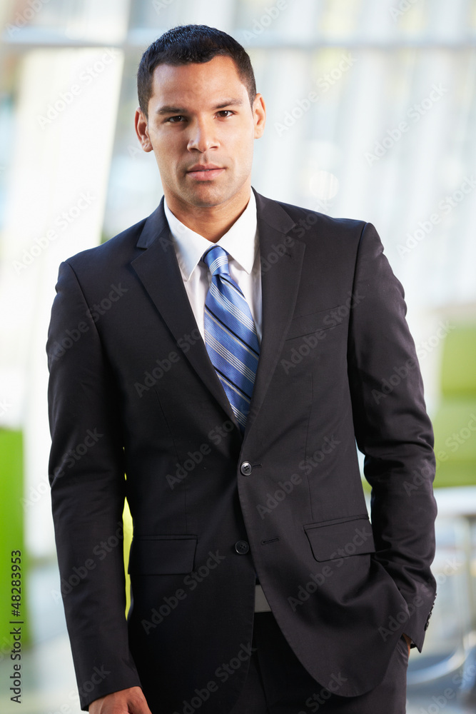 Portrait Of Businessman Standing Modern Office Reception