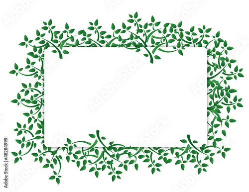 Fresh green leaves banner