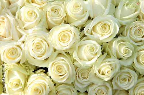 Group of white roses  wedding decorations