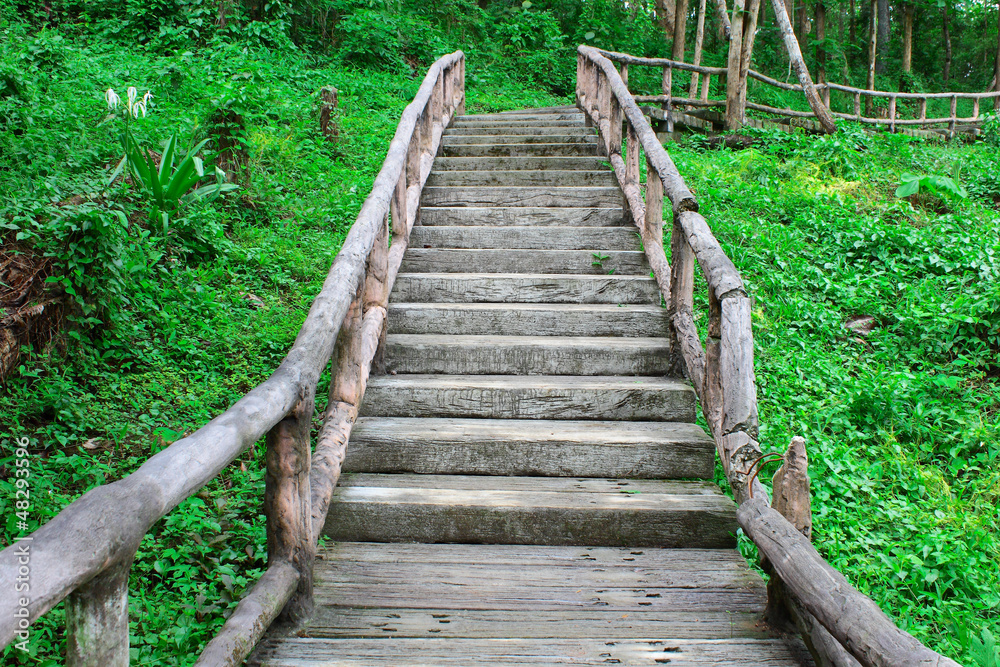 The staircase to the wilding upper The staircase to the wilding upper