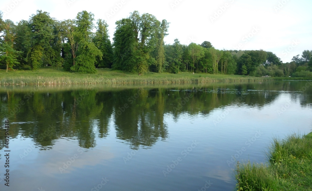 Lake And Tree View In Lydiard Park