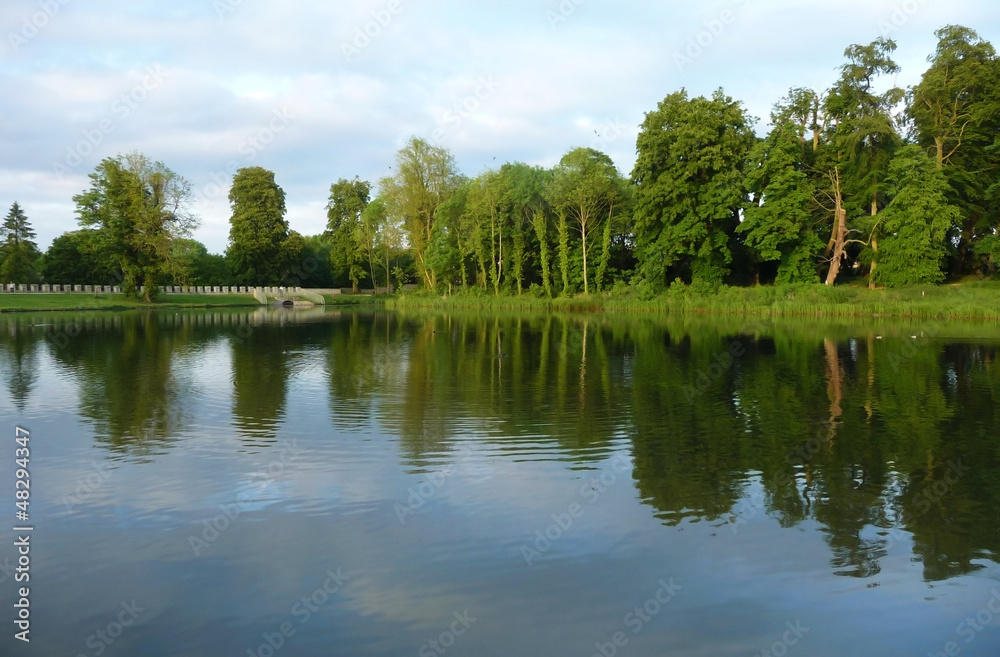 Lake And Tree View In Lydiard Park