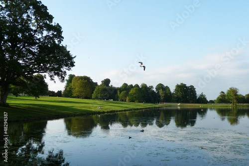 Lake And Tree View In Lydiard Park