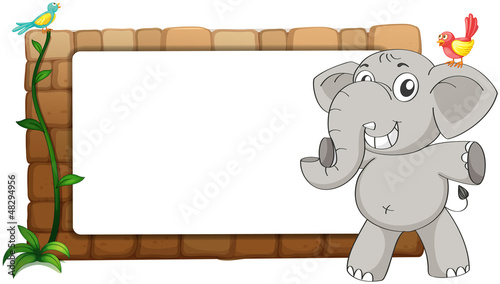 A white board, an elephant and birds