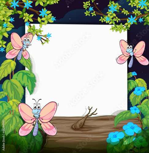 Butterflies and a white board