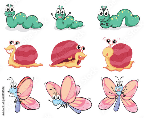 A caterpillar, butterfly and a snail