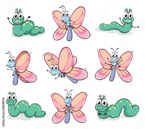 A caterpillar and a butterfly © GraphicsRF
