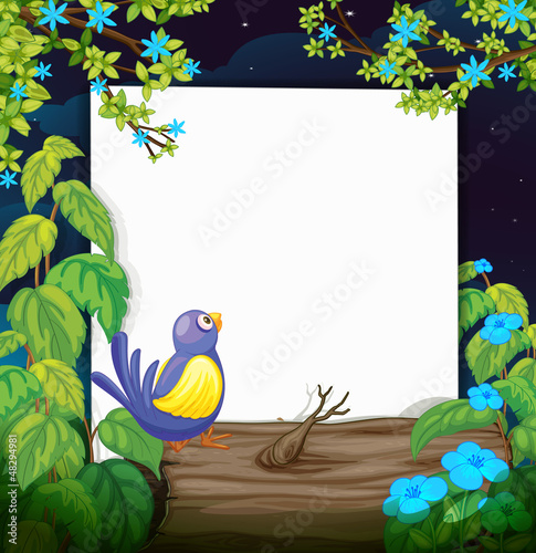 A bird and a white board
