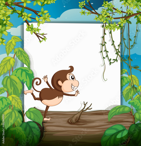 A smiling monkey and a white board