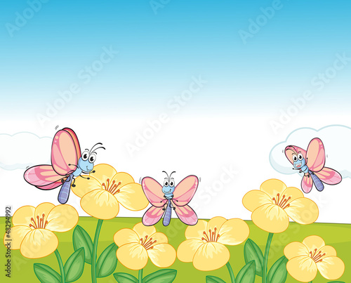Flying butterflies