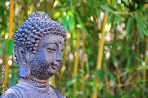 Bouddha et bambous