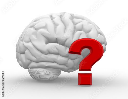 Brain