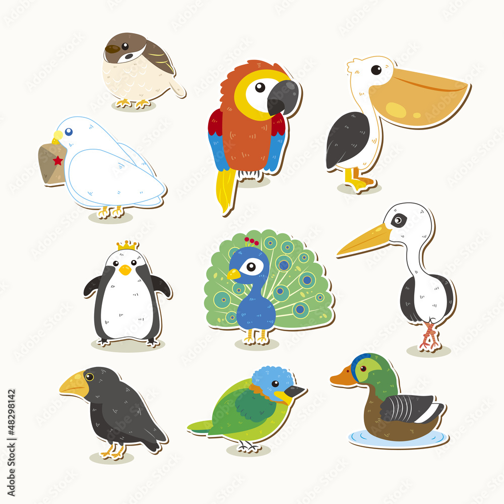 Fototapeta premium cute vector bird set