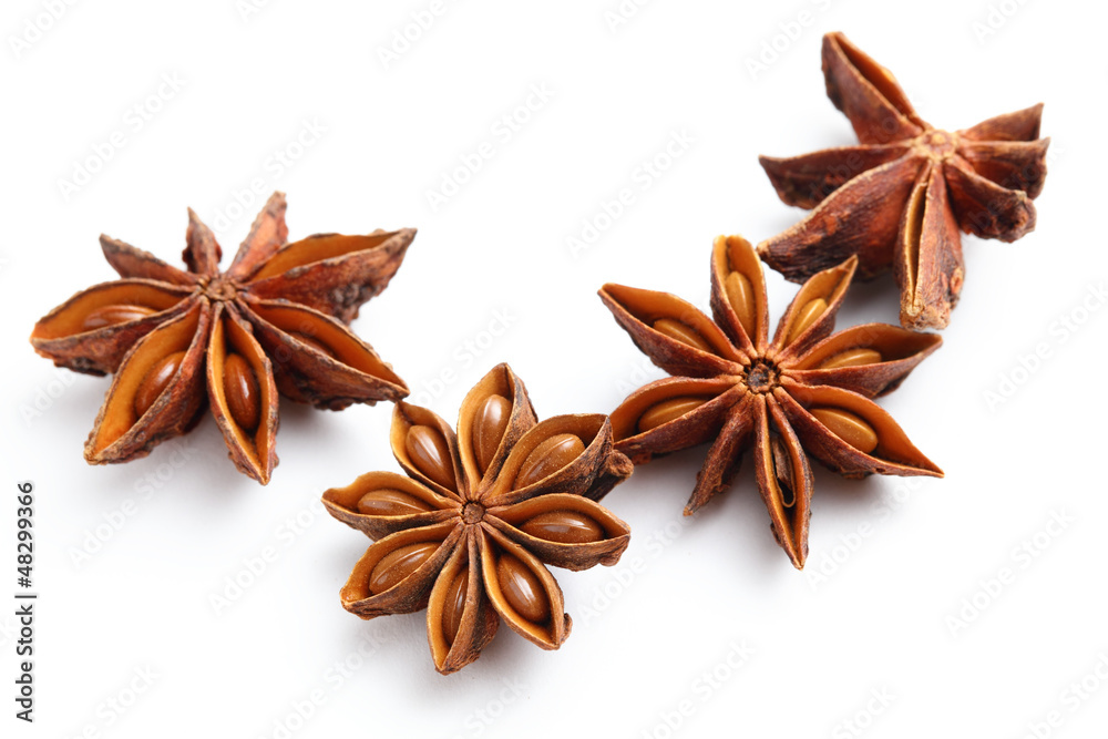 star anise star anise