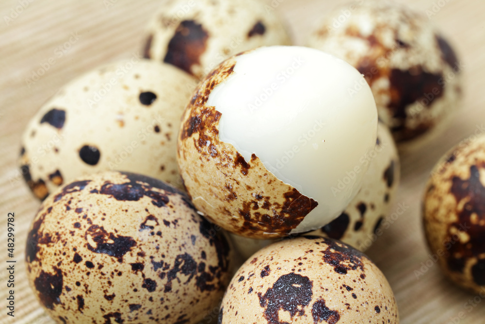 quail egg quail egg