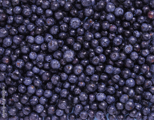 Freshly Blueberries