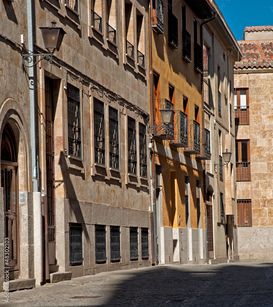 Nice houses in the old town of the city