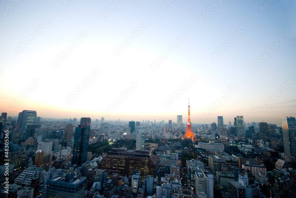 東京の夜景と東京タワー