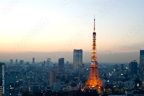 東京の夜景と東京タワー