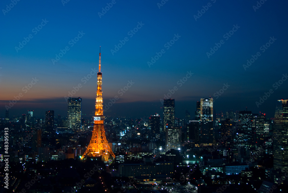 Obraz premium 東京の夜景と東京タワー