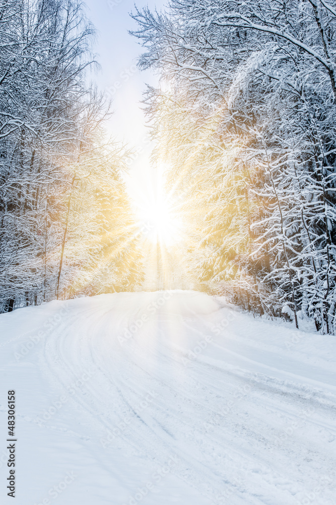 Obraz premium winter landscape forest