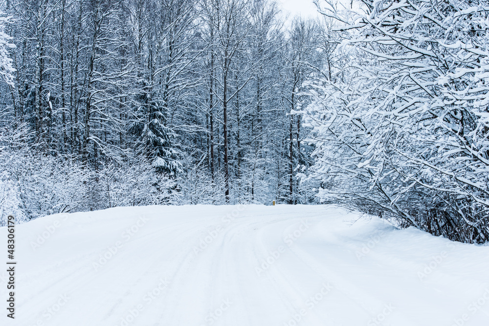 Obraz premium winter road