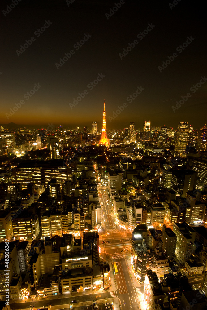 東京の夜景と東京タワー 東京の夜景と東京タワー