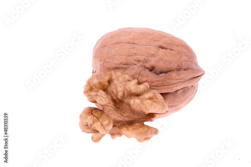 Walnut in nutshell isolated photo