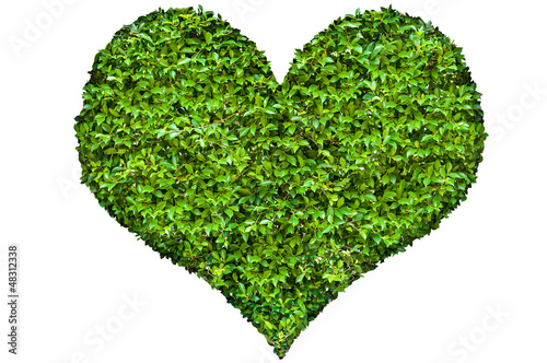 Heart symbol in green leaves