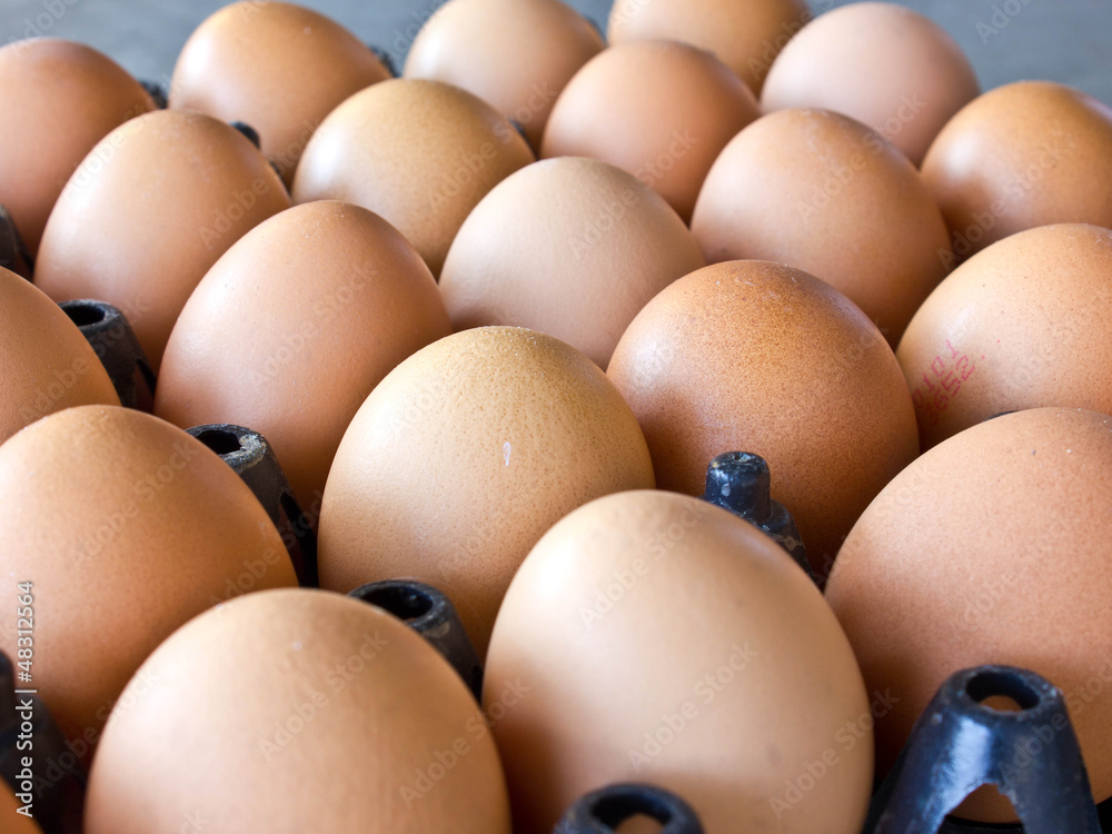 Egg Egg
