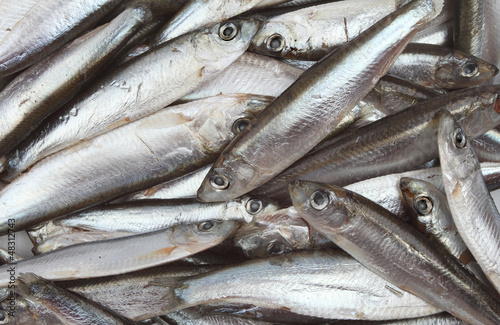 Valokuva Whitebait fish