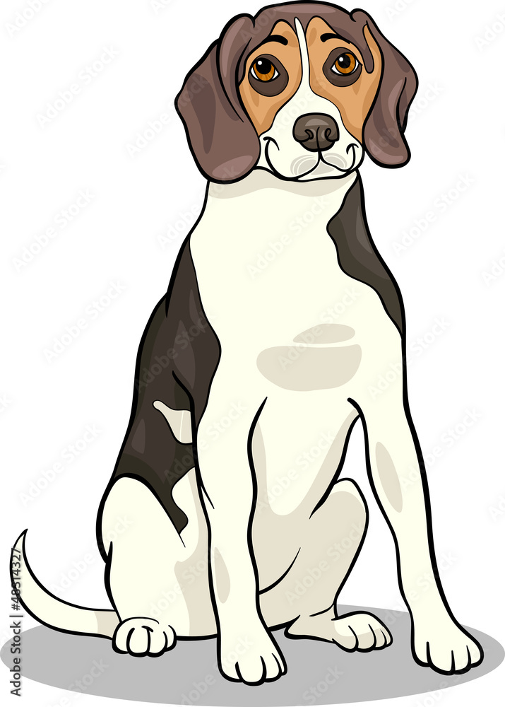 beagle dog cartoon illustration beagle dog cartoon illustration