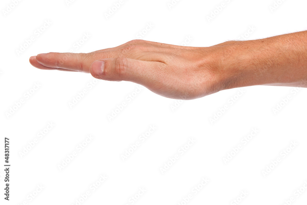 Open palm hand gesture of male hand Open palm hand gesture of male hand